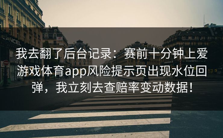 我去翻了后台记录：赛前十分钟上爱游戏体育app风险提示页出现水位回弹，我立刻去查赔率变动数据！