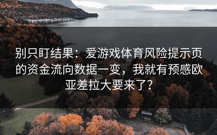 别只盯结果：爱游戏体育风险提示页的资金流向数据一变，我就有预感欧亚差拉大要来了？